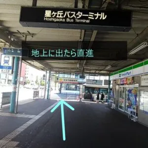 理学ボディ星ヶ丘店アクセス