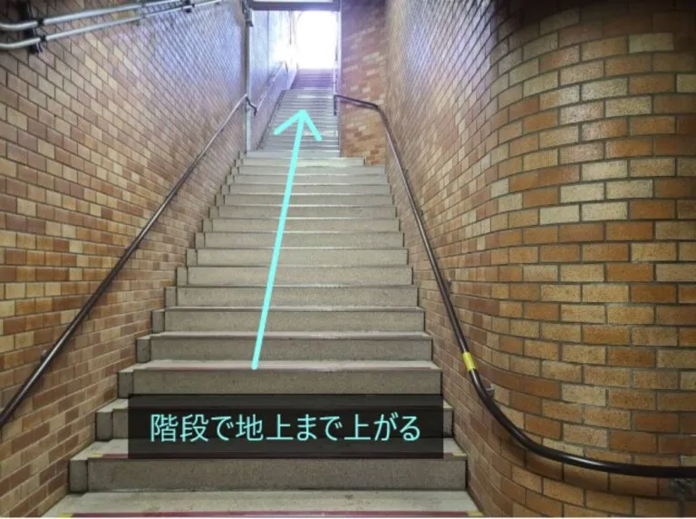 理学ボディ大通店アクセス