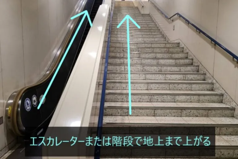 理学ボディ大通店アクセス