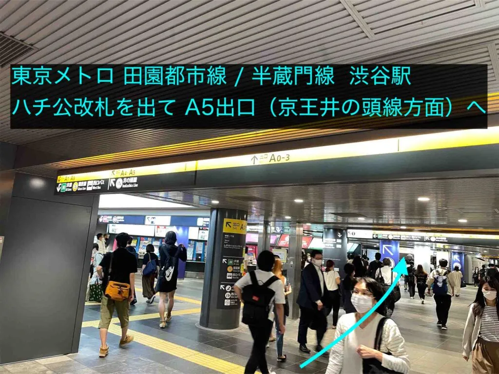 理学ボディ渋谷店アクセス