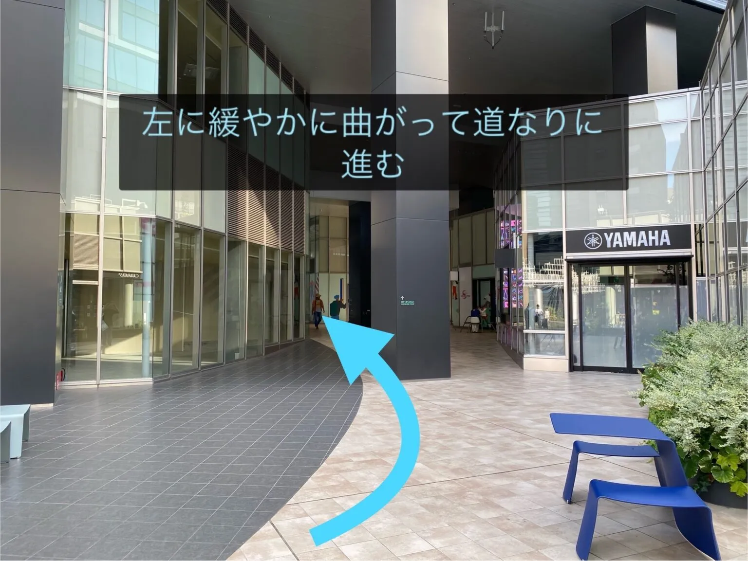 理学ボディ渋谷店アクセス