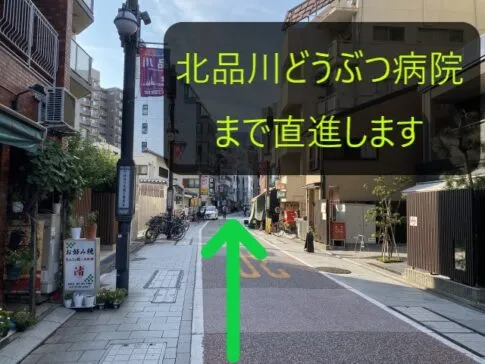理学ボディ品川店アクセス