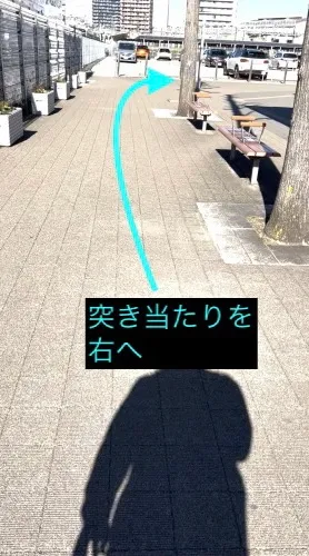 理学ボディ宇都宮店アクセス