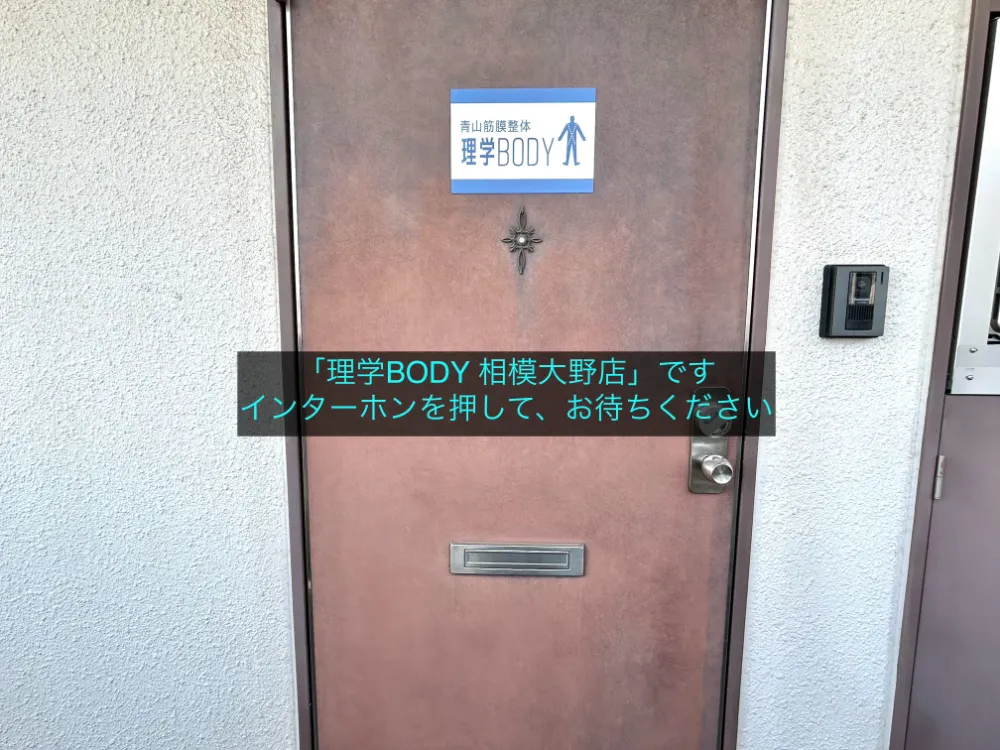理学ボディ相模大野店アクセス