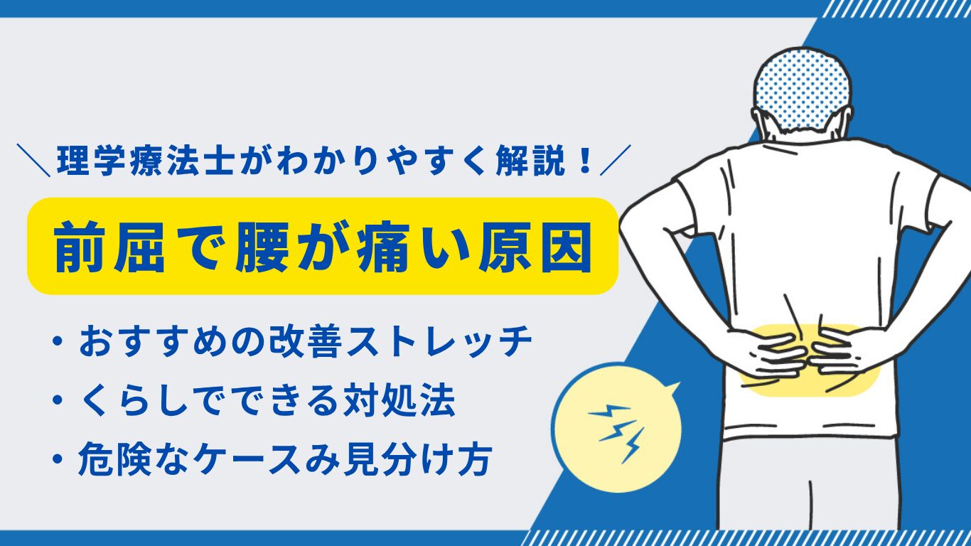 前屈　腰痛