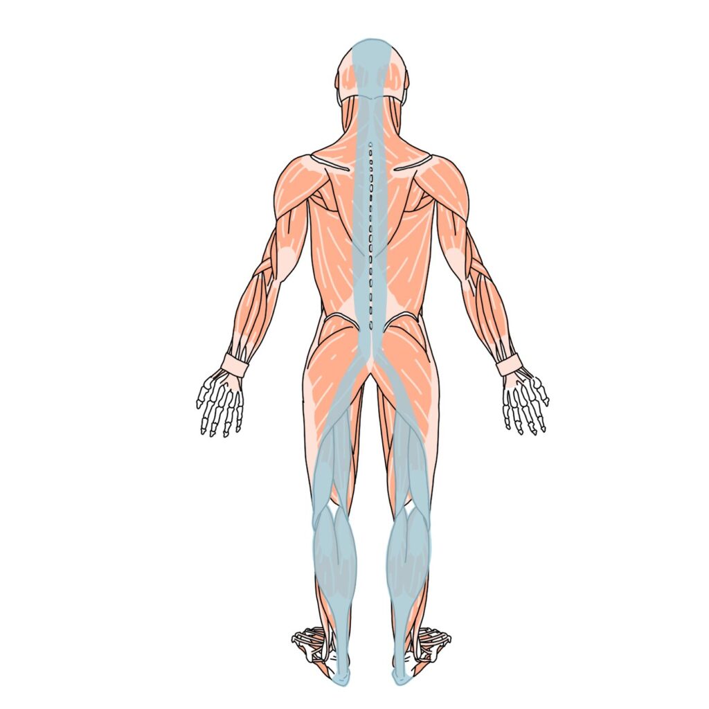 筋膜　足底筋膜炎