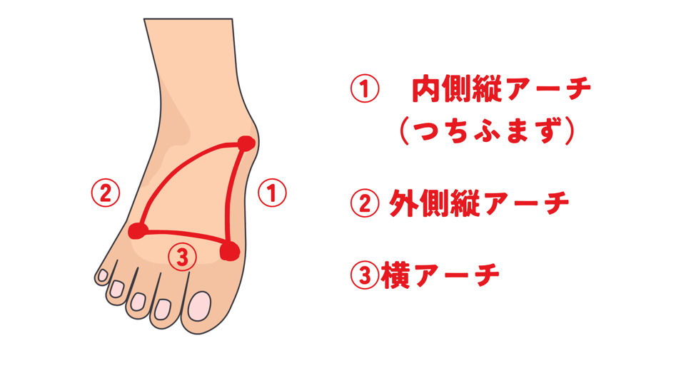 足の3つのアーチ