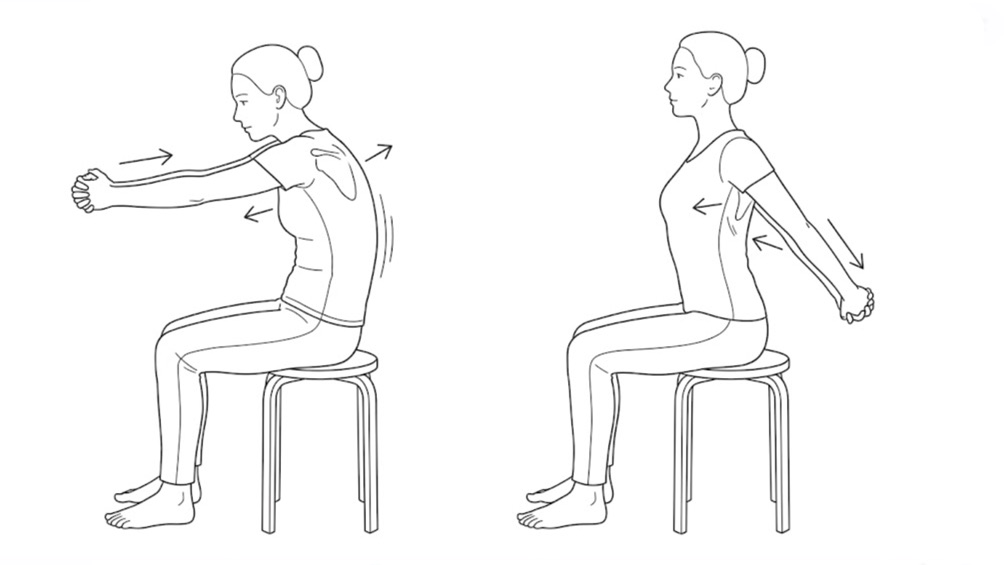 背中のストレッチ