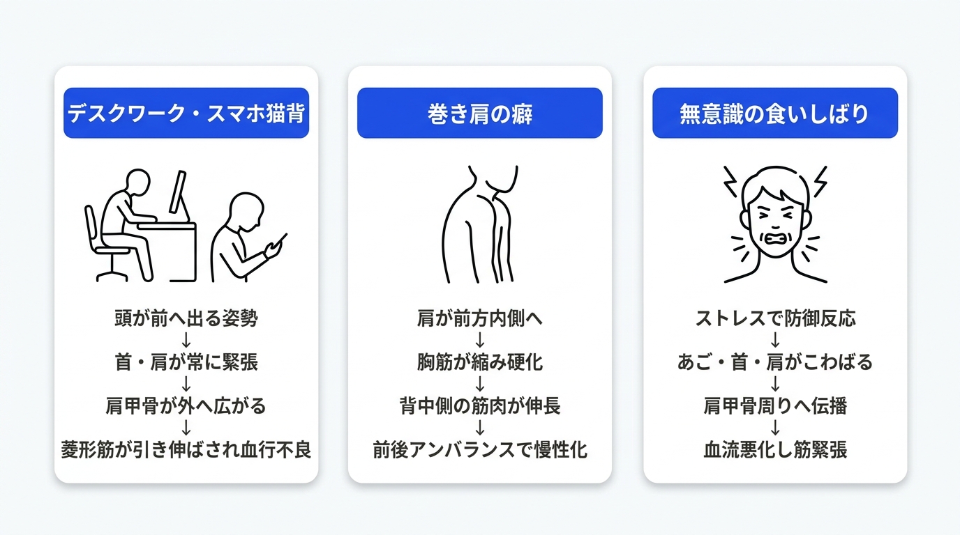 肩甲骨の内側　こり