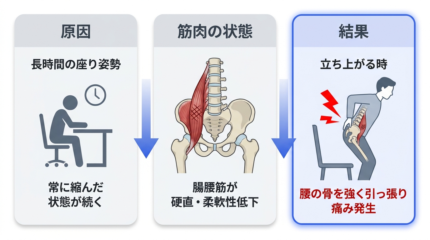 腸腰筋の硬さ