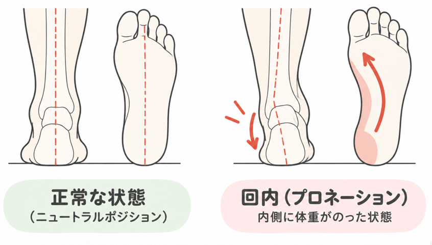 回内のメカニズム