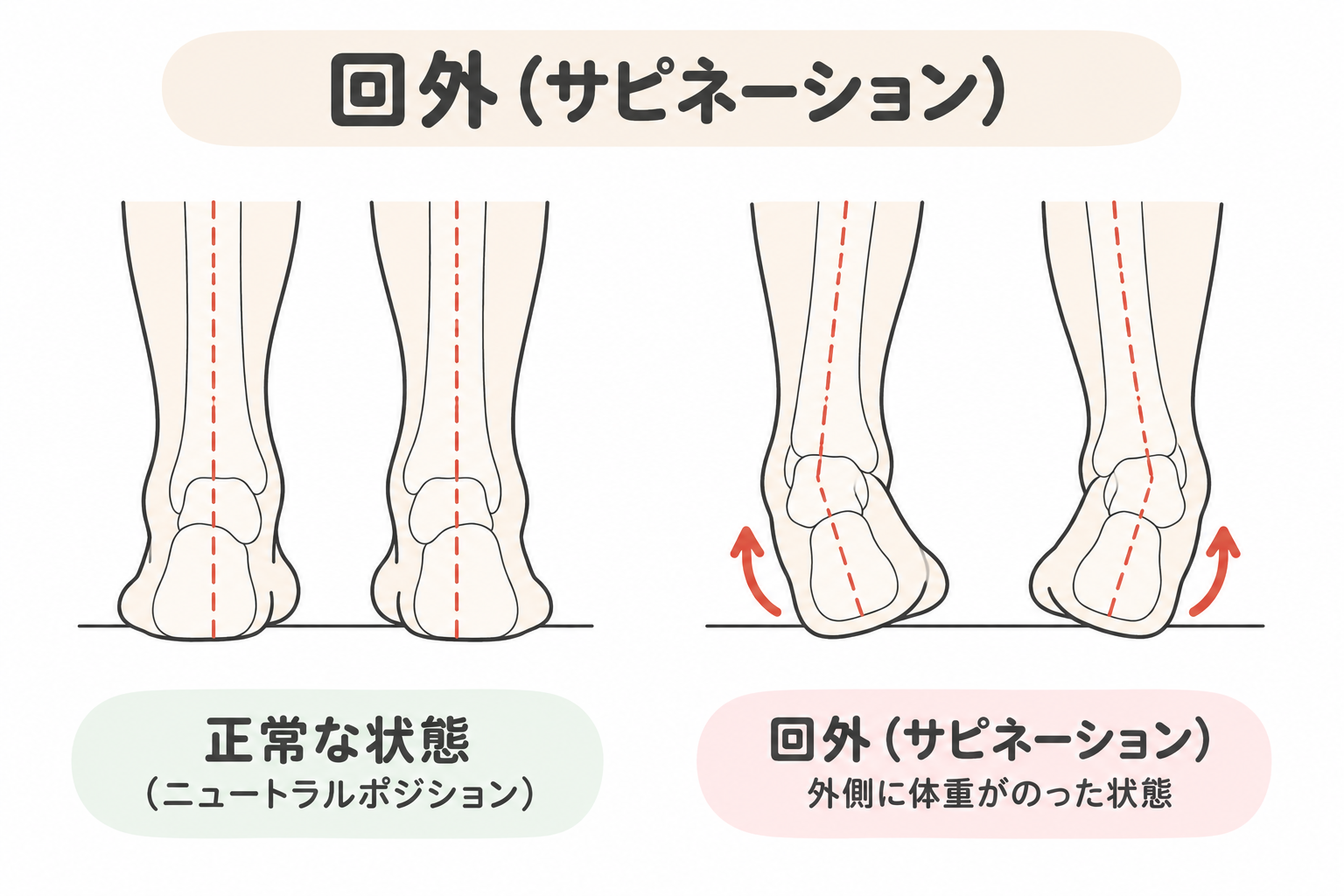 回外（サピネーション）