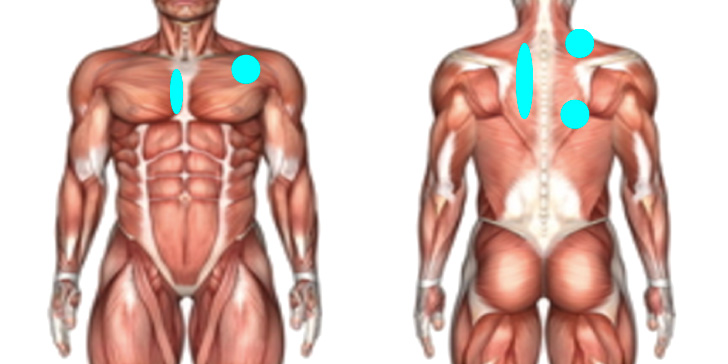 背中　ほぐす　筋膜リリース