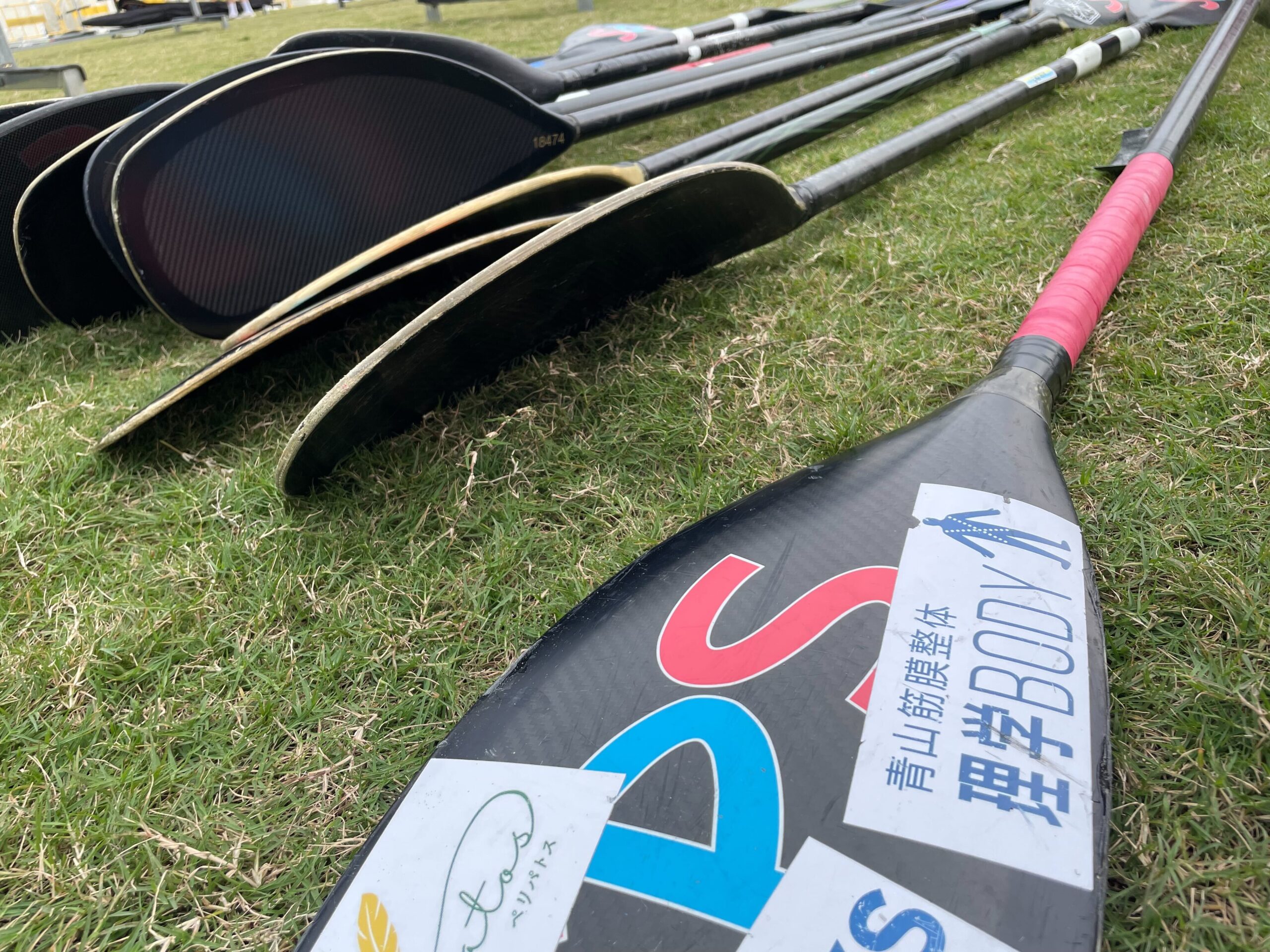 U21日本代表をサポート！2024 ICF CANOE POLO WORLD CHAMPIONSHIPSに帯同しました